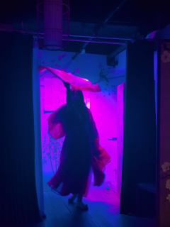 琼崖2-海角
​类型：情感本（城限）
​时长：7h
​推荐指