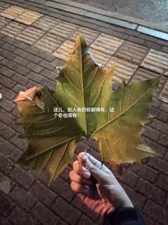坏了!家人们,吃到细糠了,我愿评价为2024年度top剧本!