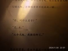 阿姝:一种C得不管别人死活的npc恋爱位。
体验角色:阿姝