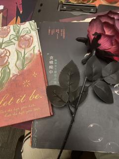 《皮下之芳》--剧本杀版『想见你』
“我就是要他 在往后的