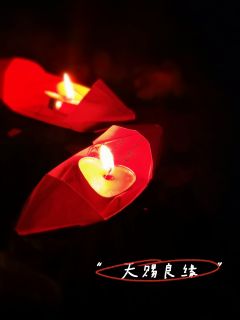 如果你喜欢苍岐1，那么青川绝对是一个错过会超级遗憾的现象级联