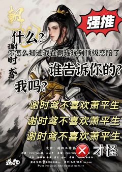 体验角色:谢时鸢
剧本类型:古风 情感 城限
剧本人数:三男