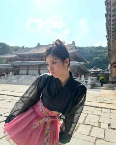 田姬振韩服好米