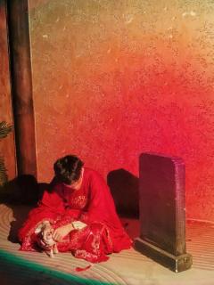 “世间万般皆是命,唯独这爱不是命。”
保证书💌写了就要做到