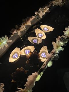 🤍“离昭,欢迎回家”🤍
本场卡司:
DM:木马
副d: