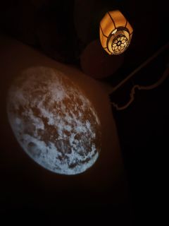 红豆2本子三星,店加一星。可以哭但情节按头,羁绊较空,当个情