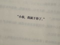 我可能很难客观地去评价这个本
于归沈回,天涯年年,灵镜雁时