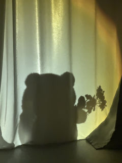 “ 凡人百年，爱是秩序外的一瞬间。 ”

📖剧本名称：化蝶