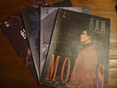 中规中矩，格式化严重，毫无新意，没有乐趣，后期昏昏欲睡

1