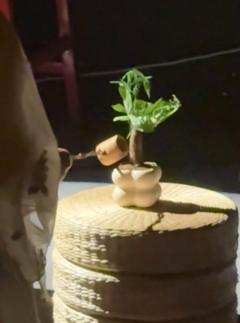 以天下为棋盘,以自身为棋子,重九先生,我们下最后一盘棋吧