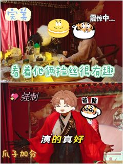 🍁综合体验6.8分🍁

📚弁言📚
1️⃣以上评分是综