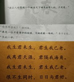 【能让人甘愿做一个被全天下唾弃的罪人的,只有爱。】
前方高能