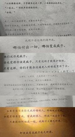 【能让人甘愿做一个被全天下唾弃的罪人的,只有爱。】
前方高能