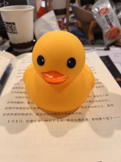 “孤独的东方人第一次感到月光遍地,月亮如轻盈的野兽踩入林中。