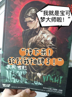 《妖怪图鉴：东京篇》-“犹如宝可梦武道大会”

类型：城限

