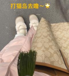猫岛🐱|正常的恋爱固然健康,但畸形的爱情更让人着迷😻