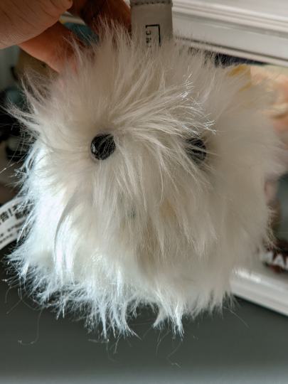 能看出他是隐藏么？？买家秀