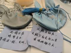 
“我照亮了月族的黑夜，那谁来照亮我呢？”

『苍兰诀』——