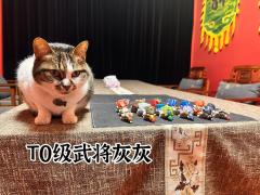 【含剧透】
剧本：三国名将录
人数：4男2女
体验角色：孙尚