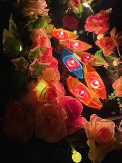 【含剧透】
【青川不是神教的青川,也不是王室的青川。】
【青