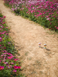  和阿卓一起赏花💐真的很快乐