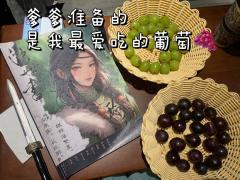 【甜茶和烟花,是要命的搭配】
体验角色:玲珑
满天星给我的