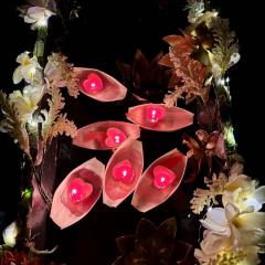 📖剧本名：苍歧2青川
®️发行方：东方剧制
🕵️体验角色