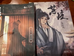 【含剧透】
苍山多歧路,谁识少年心
时长:8h
店家缺点: