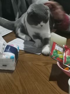 “再见,冬村。再见,妈妈。”
体验剧本:《雪国》
剧本类型