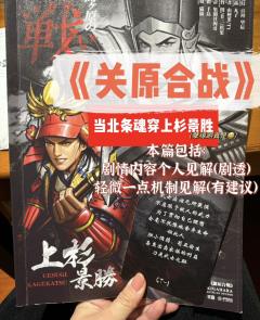 ——《关原合战之 这要是个情感本我都想象不到我会是一个多么快
