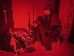 秦北凉，新年快乐。

时长：8h
DM：祁画
秦北凉：羊羊羊