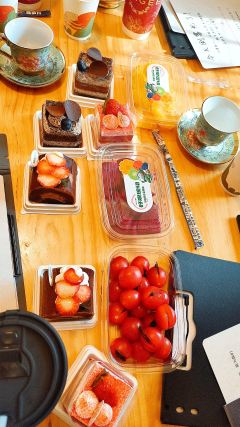 “她唯一一次没有伪装,是在光芒熄灭的时候。从此,只剩她一个人