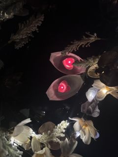 【含剧透】
『青川』
🏷️ 情感
时长:9h
“阿礼,为