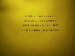 “我从不恨火树银花太迟,只恨还不够将它变得更好。”
角色:
