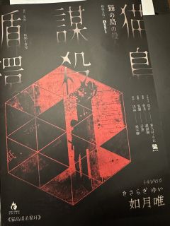 「首部变态（欢乐）推理，新手体验无压力！」

🐈‍⬛202