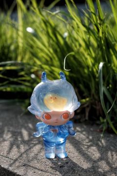 半透明的海蝴蝶，阳光下格外好看