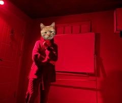 ——关于《我人生第一次觉得哦谢谢上帝日系本里面立本人的名字不