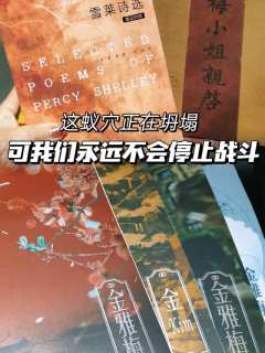 “弱国无外交，你准备好面对这一切了吗”
📖剧本类型：晚清背