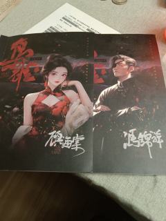 《枭雄》-KK是全世界最好的哥哥！

类型：民国/家国/情感