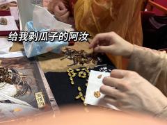 南柯,道是今宵月儿胧。一瞥惊鸿,恰如南柯一梦中。
剧本:《