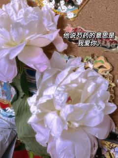 崇予南,是崇灵的崇,南都的南;叶奕北,是叶辰的叶,北国的北。