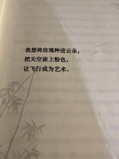 万里长空跃下那刻,只想不负你一世深情
🌹三千世界里有三千