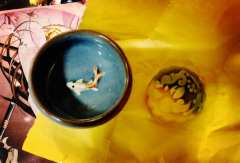 枯荣
​类型：情感本（城限）
​时长：8.5h
​推荐指数：