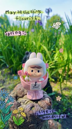 万草丛中一束花🌸🌸🌸