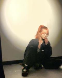 世界本就浑浊,爱与恨同歌。蝼蚁一定要打AB融合版,前期童话版
