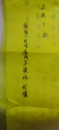 时长:7h
类别:幻神,情感,沉浸,欢乐(前期破冰环节真的超