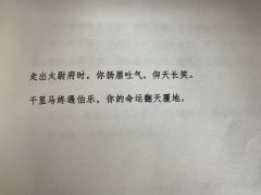 祁山2—邓艾
终于知道三国杀这家伙的技能为什么是屯田了
千里