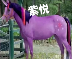 毁童年系列之——小马宝莉
@ 
@ 