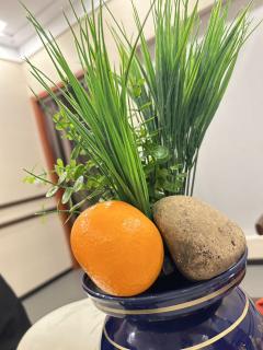 宁肯枝头抱香,千风万雪,依旧绝艳
但是现在这场雪
是在惋惜