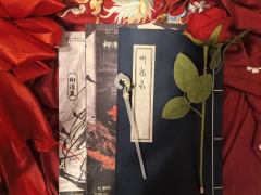 “听泉录上的每一行字 都是我希望你更爱自己的理由”
⭐剧本：